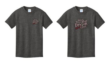 How to Train Your Dragon - Youth Cotton Tee - Heather Grey - PC54Y