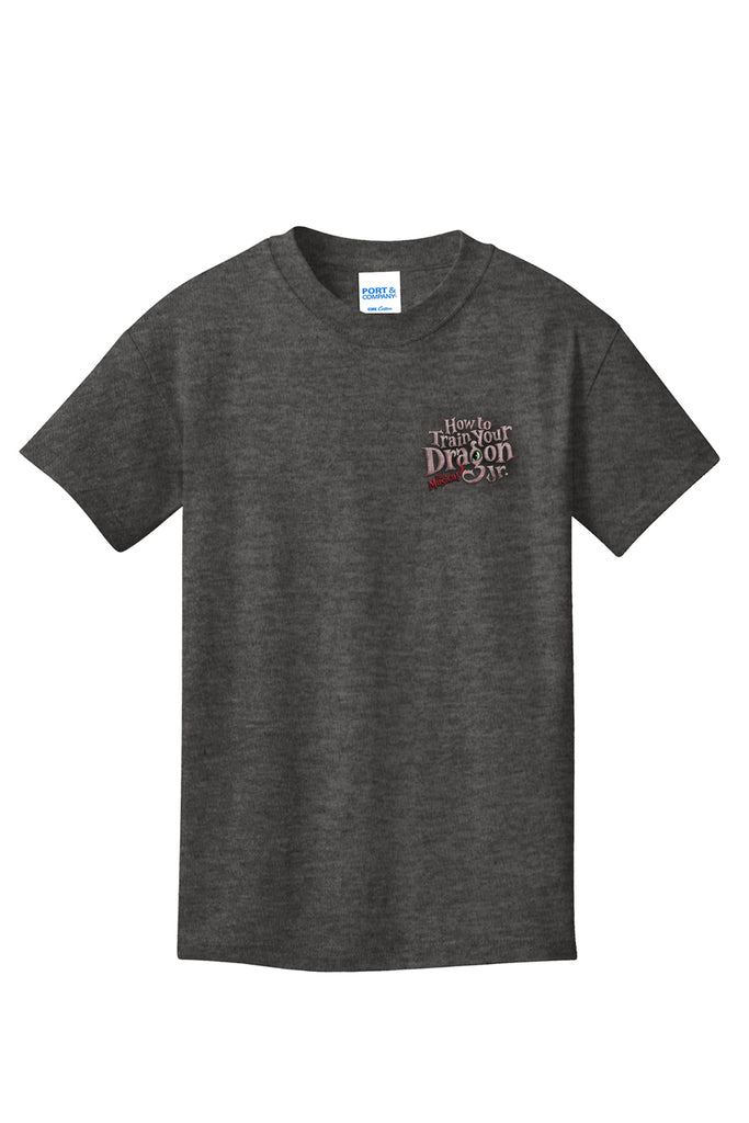 How to Train Your Dragon - Youth Cotton Tee - Heather Grey - PC54Y