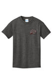How to Train Your Dragon - Youth Cotton Tee - Heather Grey - PC54Y