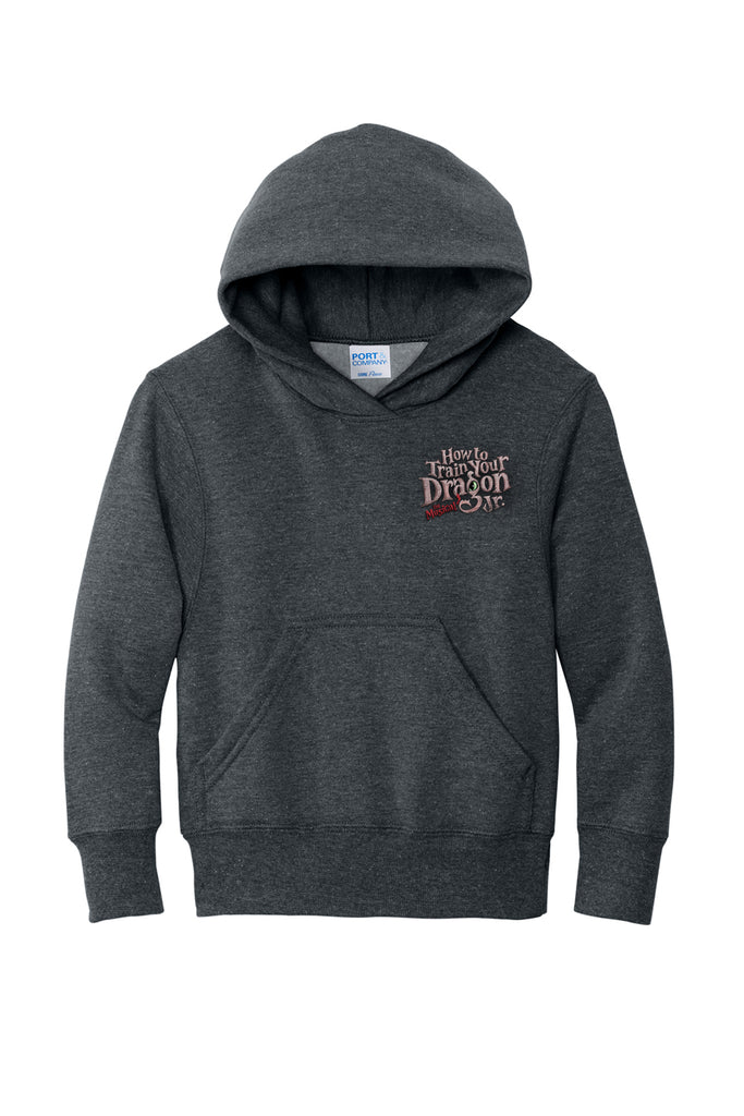 How to Train Your Dragon - Youth Pullover Hoodie - Heather Grey - PC78YH