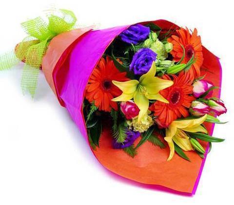 Flowers - Mixed Bouquet - Diary of a Wimpy Kid